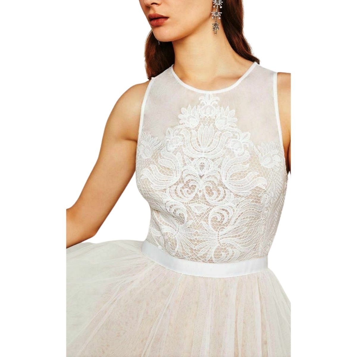 Riese Tulle Applique Dress